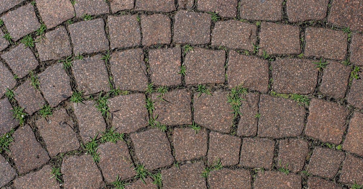 Blask pod stopami: bezpieczne odświeżanie kostki brukowej myjką ciśnieniową