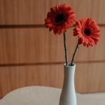 Drugie życie dla okleinowanych mebli: metamorfoza w weekend – tanio, sprytnie, bez demontażu